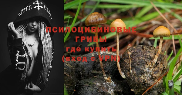 каннабис Богданович