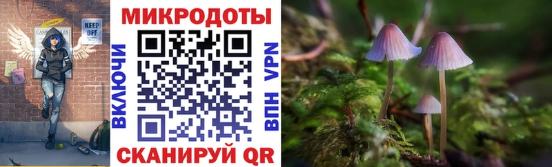 закладка  Костерёво  Галлюциногенные грибы мухоморы 